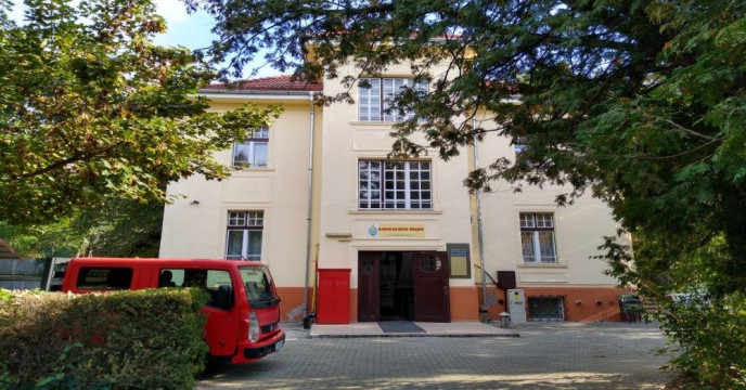 Ore, lectii, cursuri de vioara, pian, canto, chitara Brasov